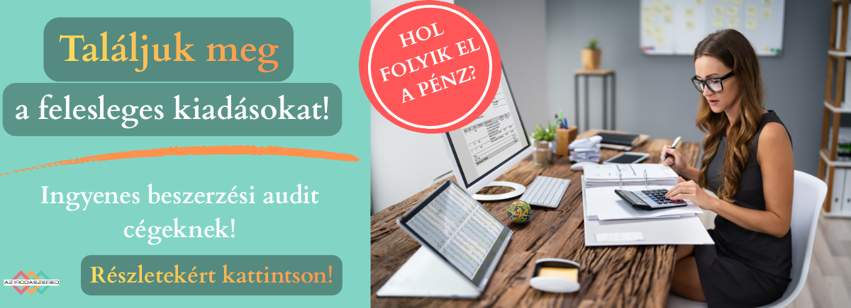 Ingyenes beszerzési audit cégeknek